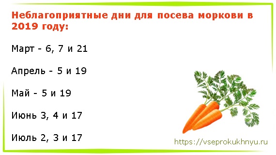 Когда сажать морковь в мае 2022 года по лунному календарю, благоприятное время - дзен дневник