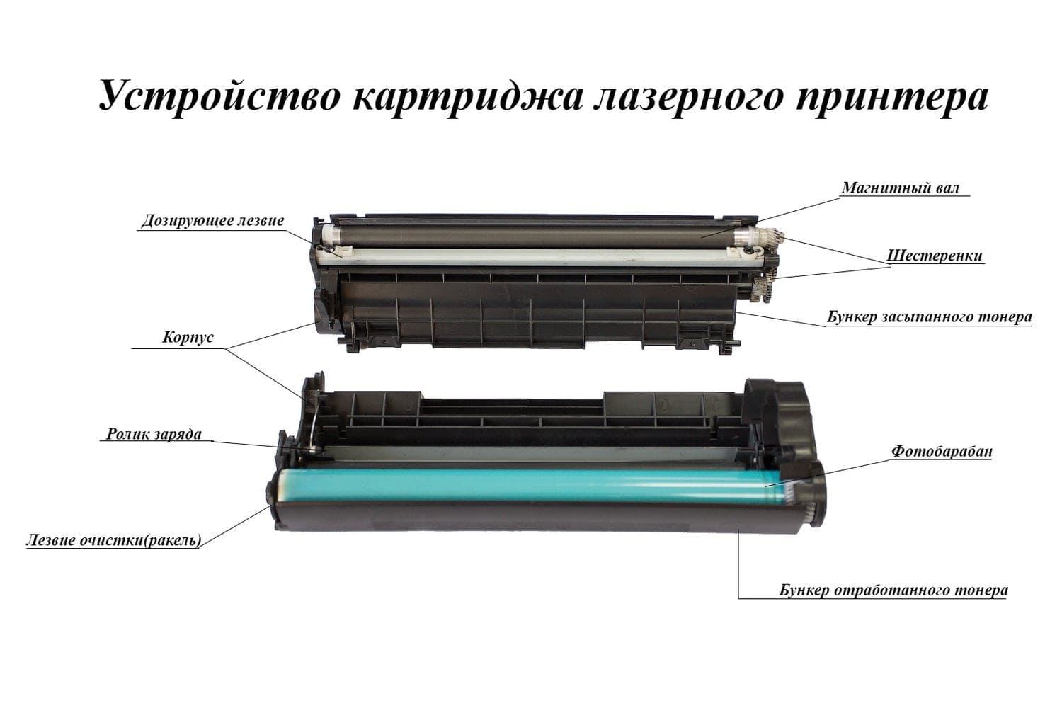 Что такое картридж для принтера. основные виды картриджей