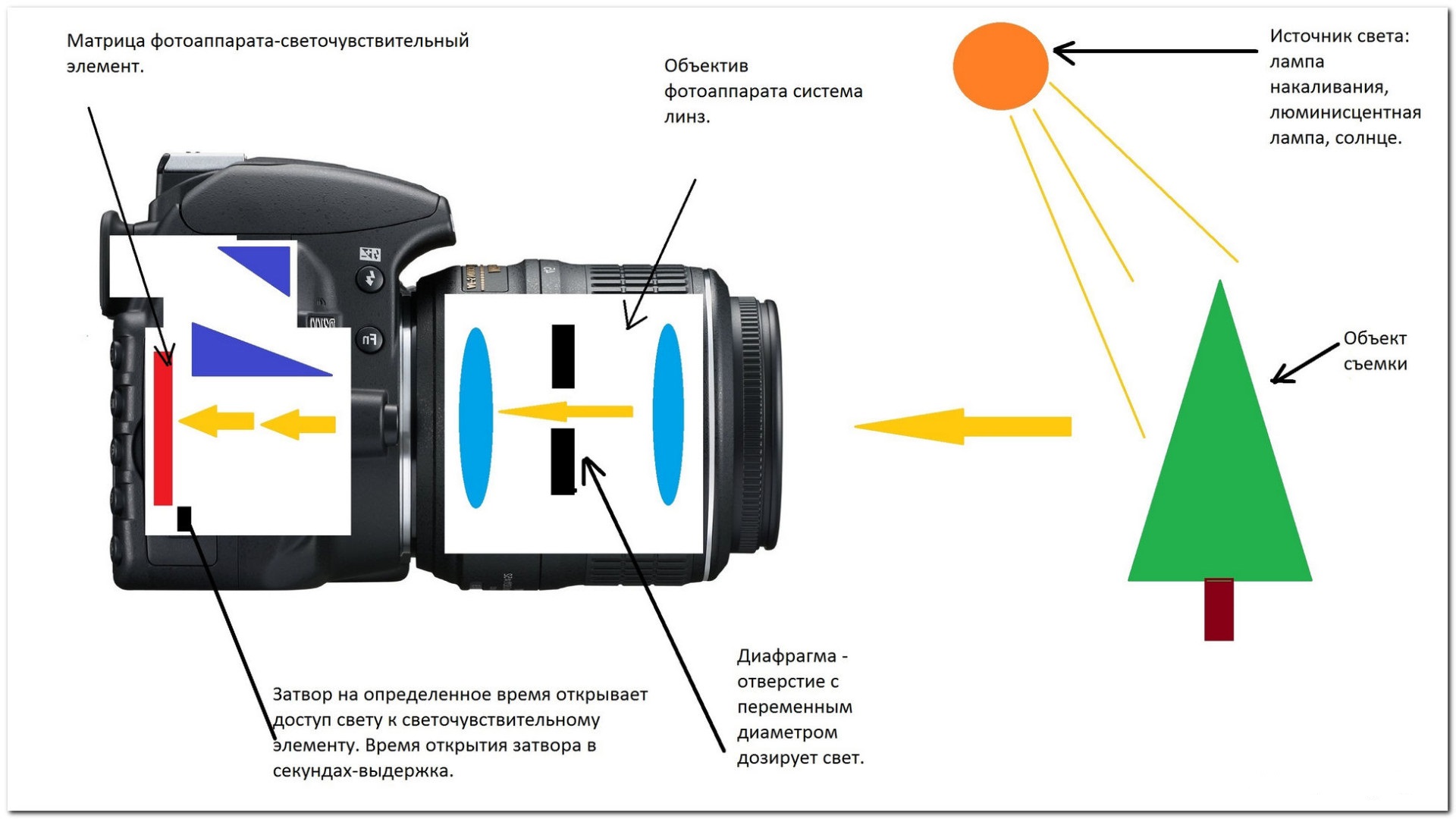 Открой устройство камера. Принцип работы объектива фотоаппарата. Зеркальный фотоаппарат схема строения. Оптическая схема фотоаппарата. Элементы оптической системы в фотоаппарате.