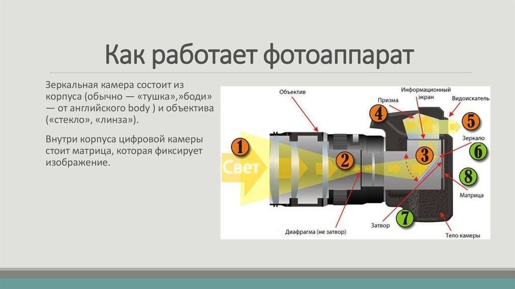 Схема устройства фотоаппарата