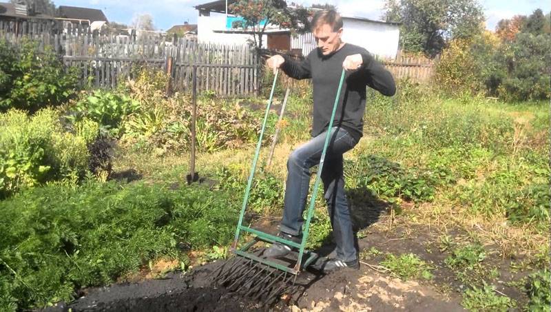 Как подготовить целину под огород, чем обработать и удобрить почву
