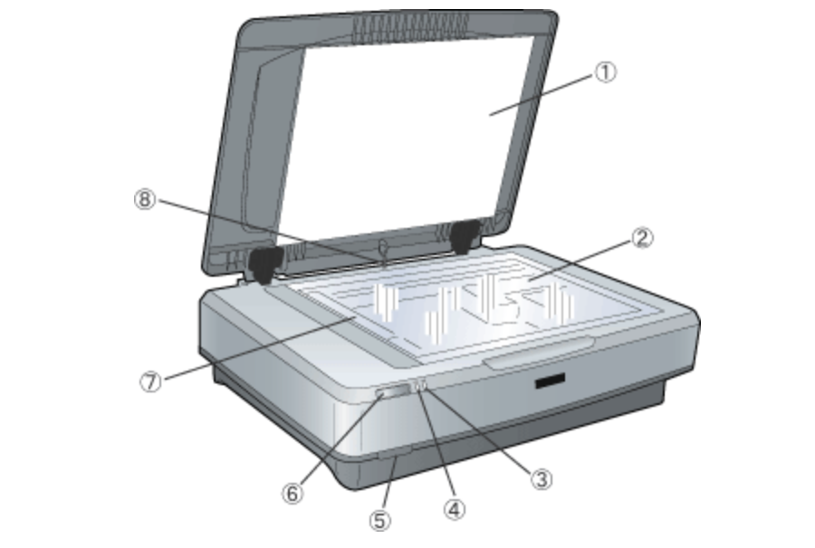 Планшетные сканеры: размножаем недорого и разными способами