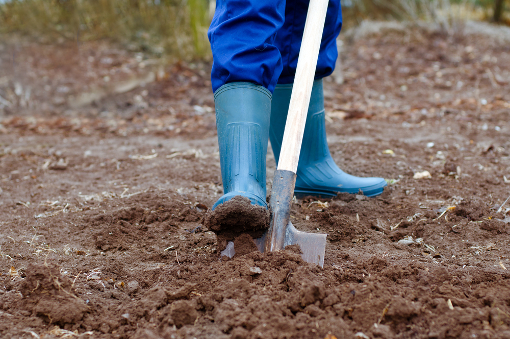 Как правильно копать грядки лопатой: инструкция и когда это лучше делать