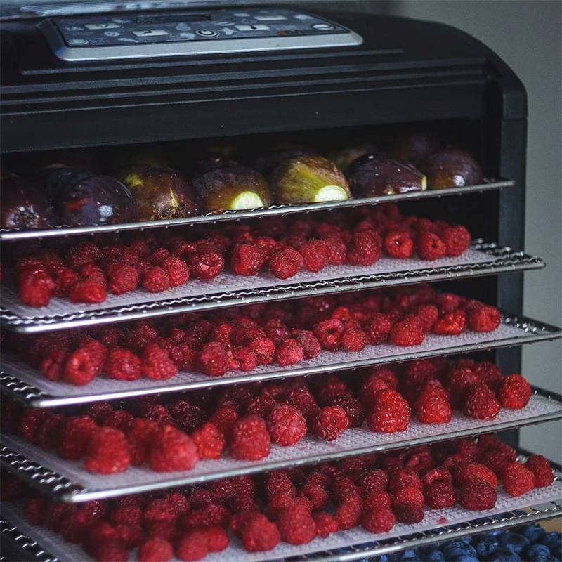 Как выбрать сушилку для овощей и фруктов: список важных технических параметров | умный выбор | дзен