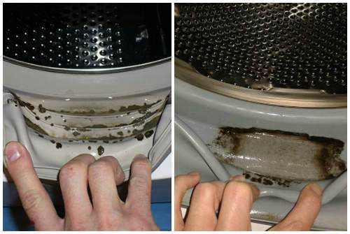 Как устранить плесень в стиральной машине