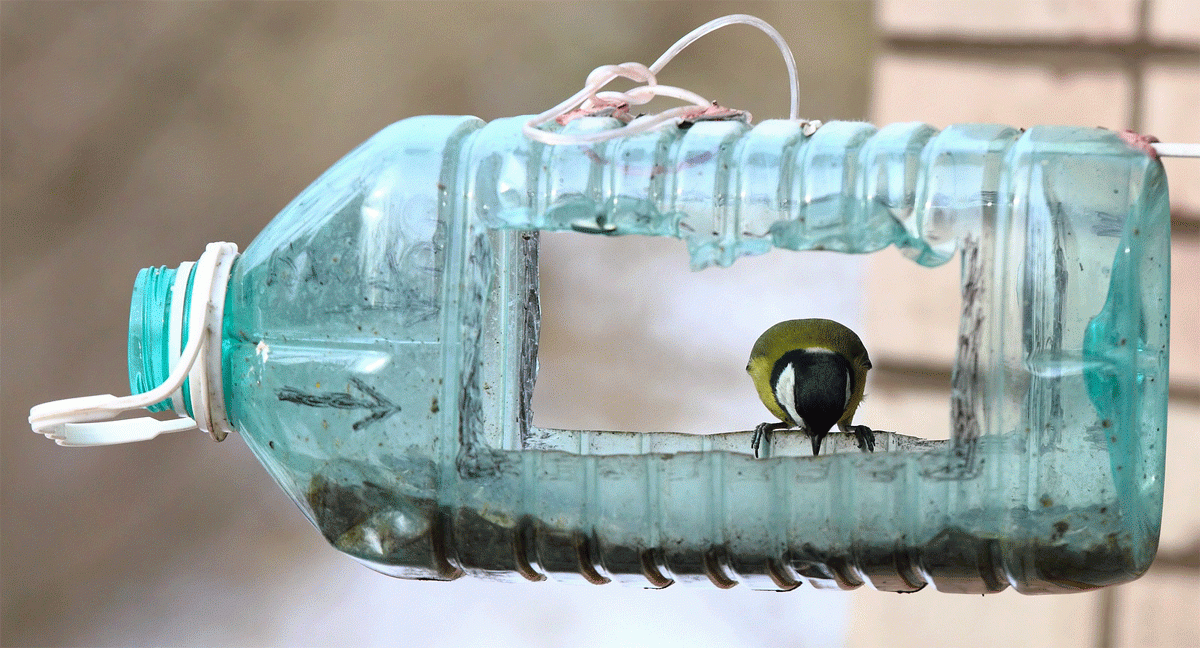 Как сделать кормушку для птиц из пятилитровой пластиковой бутылки? 34 фото пошаговое создание кормушки для синиц из бутылки емкостью 5 литров своими руками