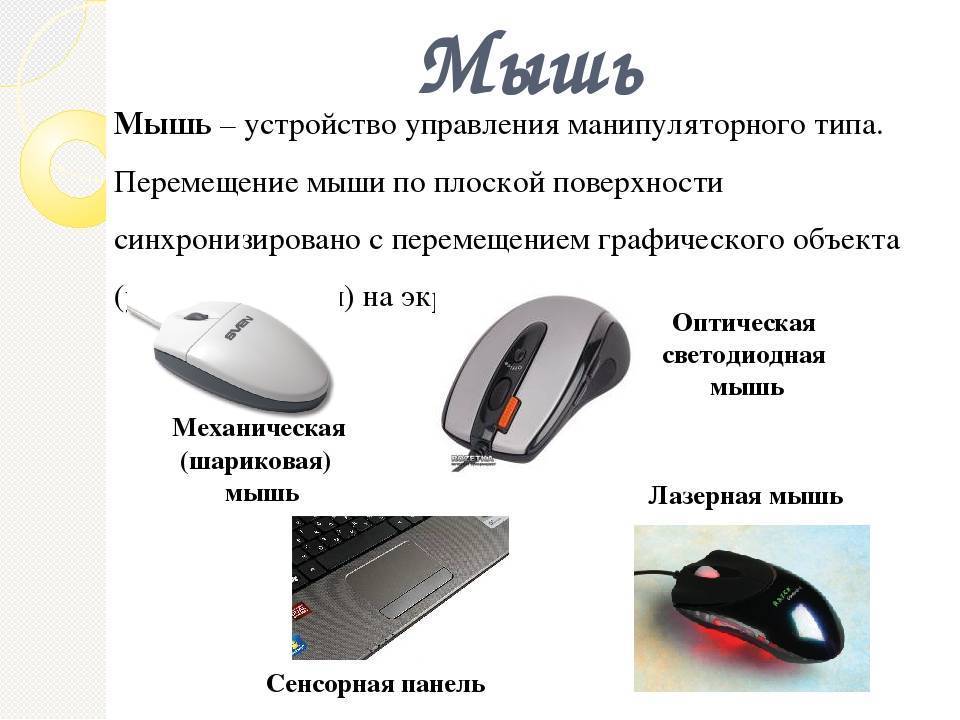 Классификация типов компьютерных мышек. виды и устройство компьютерных мышей