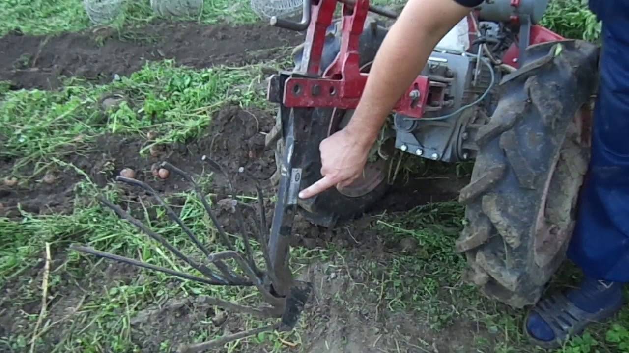 Долой тяжёлый труд: особенности посадки картофеля при помощи мотоблока