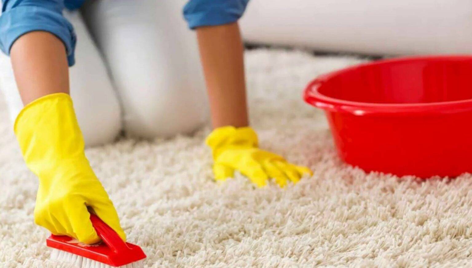 Как почистить палас в домашних условиях быстро и эффективно: не снимая с пола, избавиться от запаха, чем отмыть светлый и темный ковер?