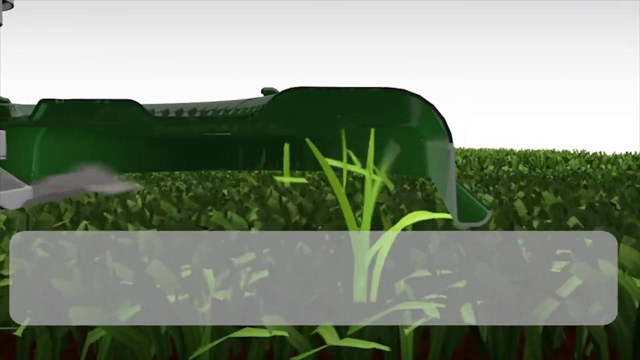 Мульчирование травой из газонокосилки: особенности, плюсы и минусы | плюсы и минусы