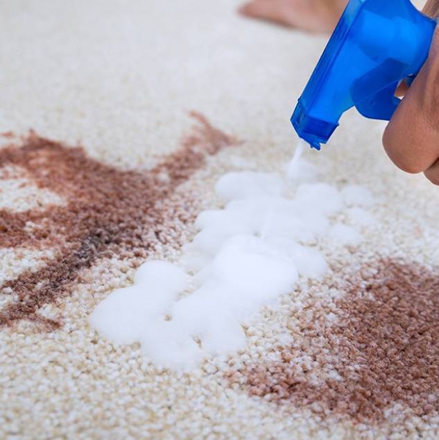 Как почистить ковер моющим пылесосом: особенности и рекомендации