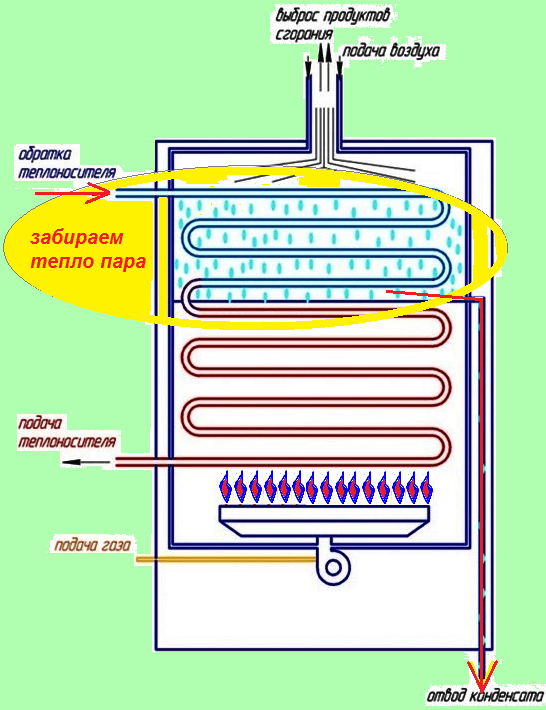 Топ-5 лучших конденсационных газовых котлов для отопления + их достоинства и недостатки