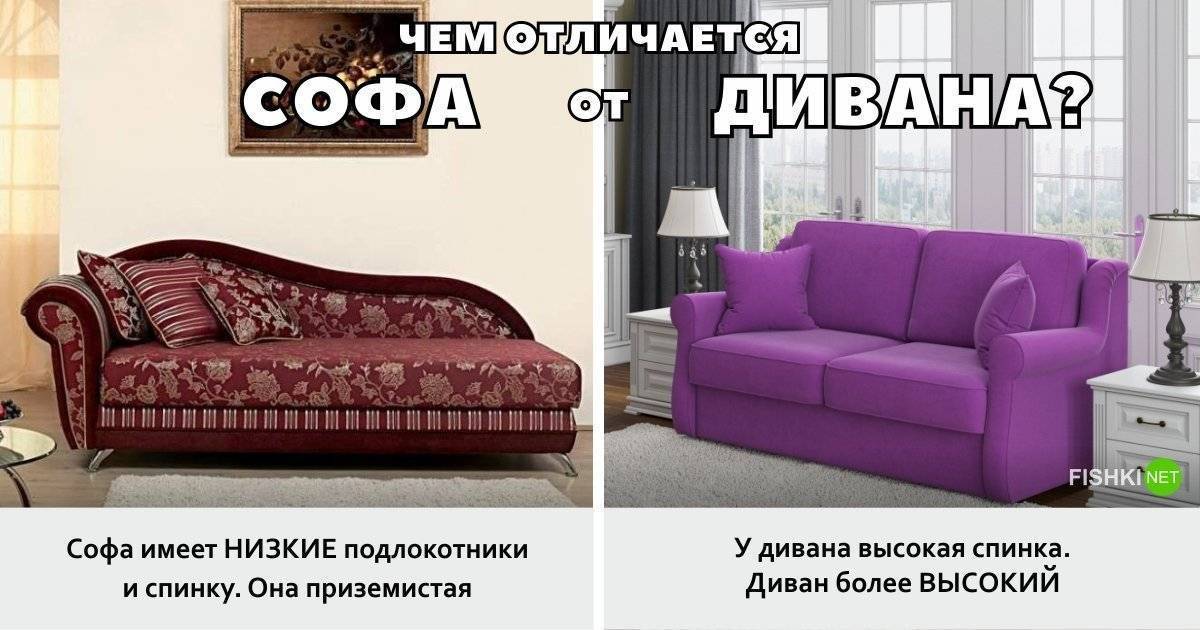 Чем отличается софа от дивана
