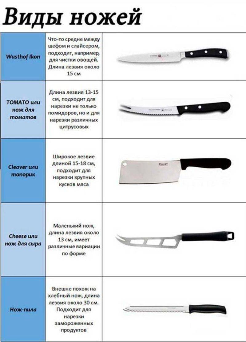 Виды кухонных ножей: какие бывают формы ножей и для чего они предназначены