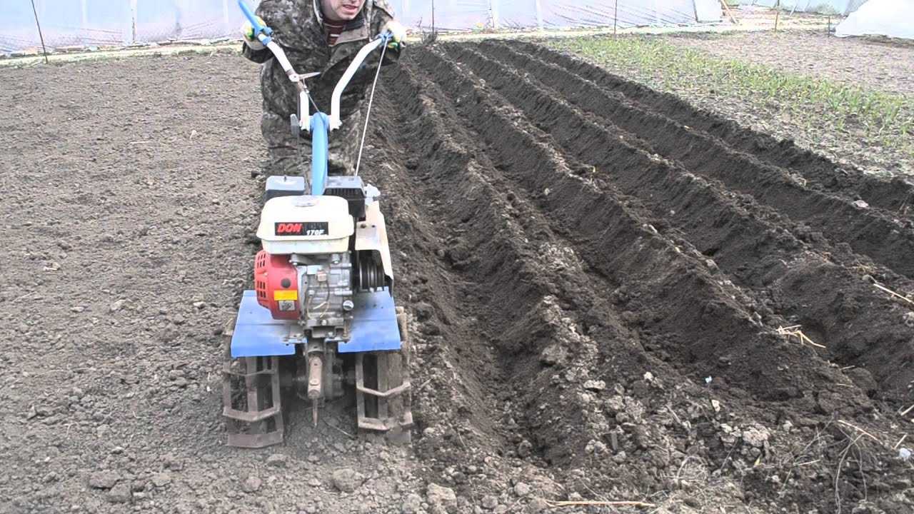 Правильные приемы и технологии посадки картошки мотоблоком
