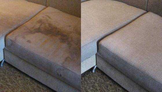 При помощи каких средств можно избавиться от стойкого запаха мочи на диване: проверенные методы для удаления свежих и застарелых пятен