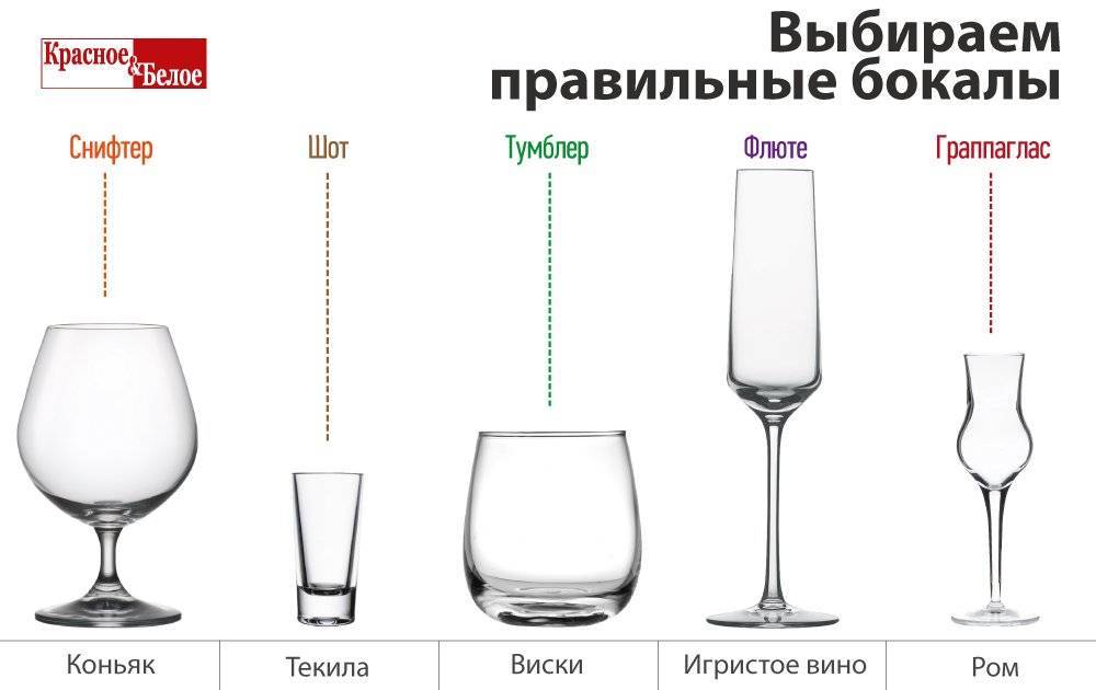 Какие бокалы нужно иметь в доме, чтобы можно было подать любой алкоголь