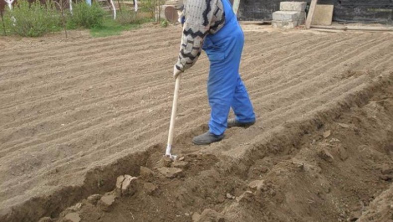 Как правильно копать лопатой землю. как правильно копать в огороде: советы бывалых | зелёный сад