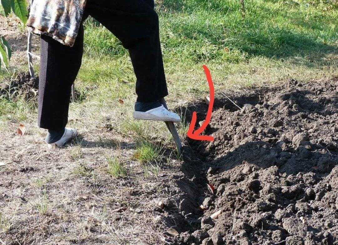 Как выкопать яму: 12 шагов (с иллюстрациями) - wikihow