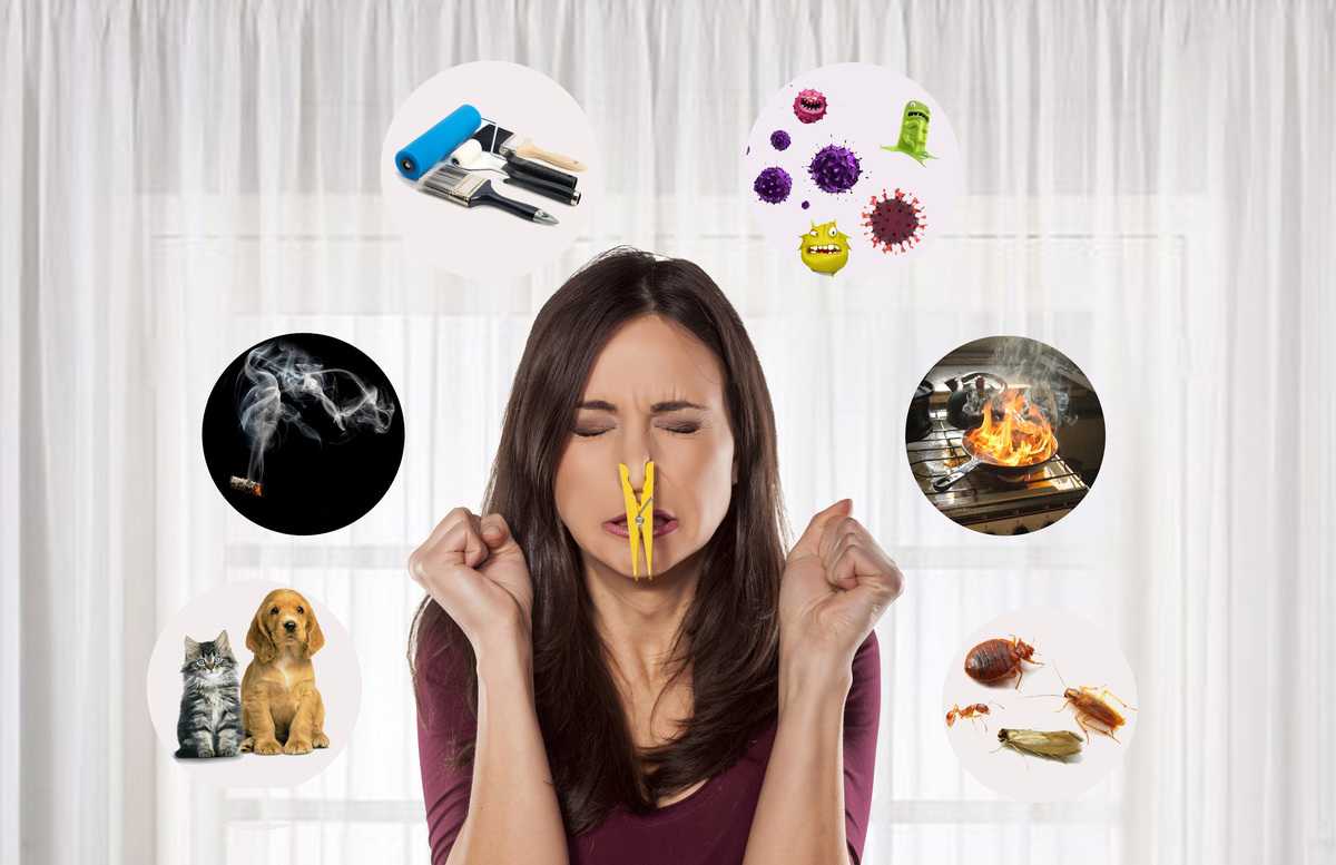 9 секретов того, как избавиться от запаха пота без дезодоранта :: инфониак