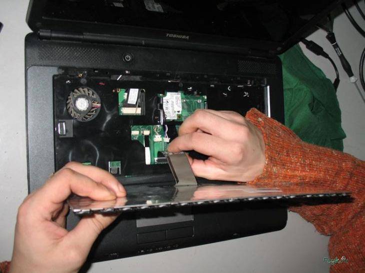 Как разобрать и собрать клавиатуру на ноутбуке и компьютере для чистки