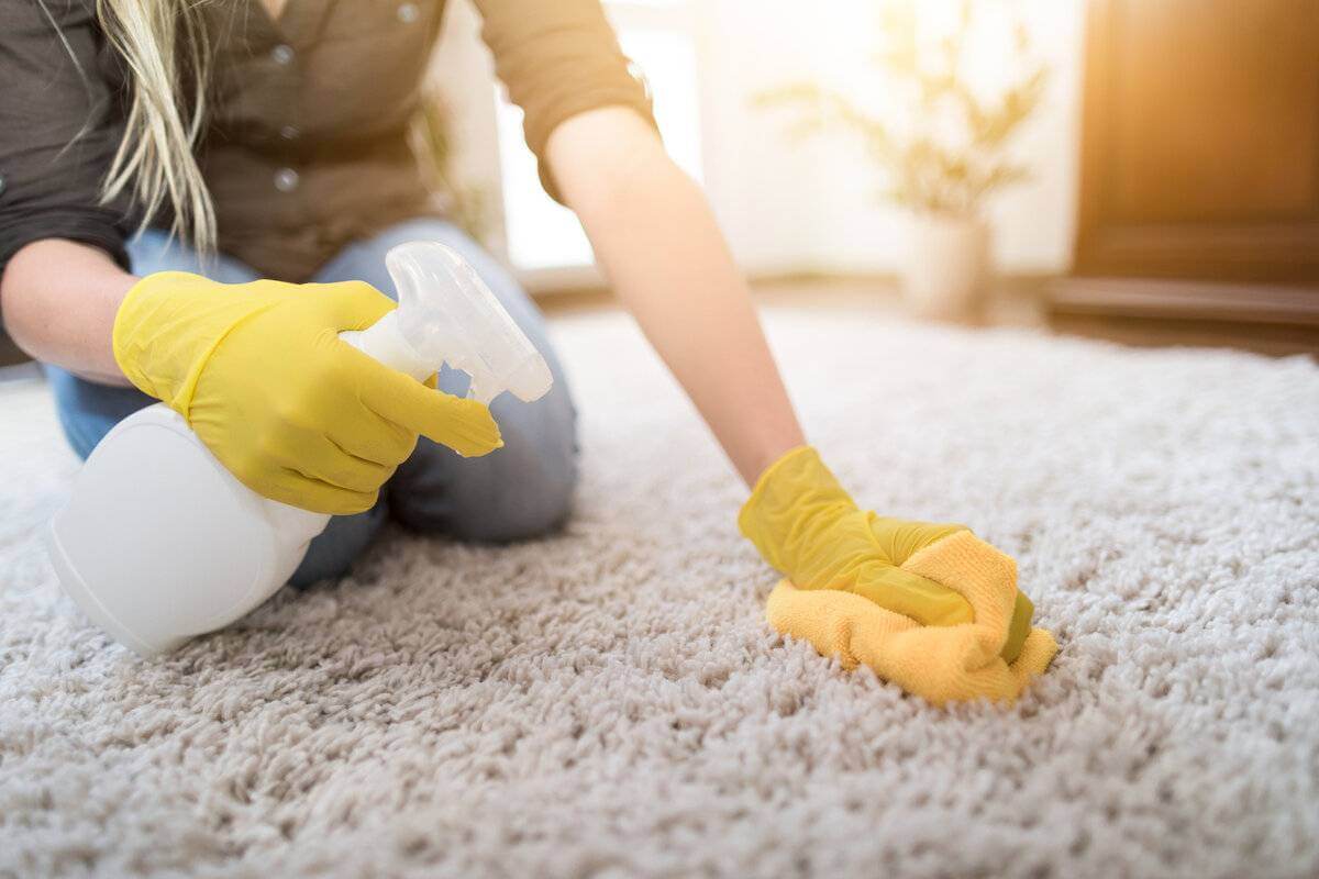 Как быстро почистить палас в домашних условиях: лучшие средства, советы по чистке паласов