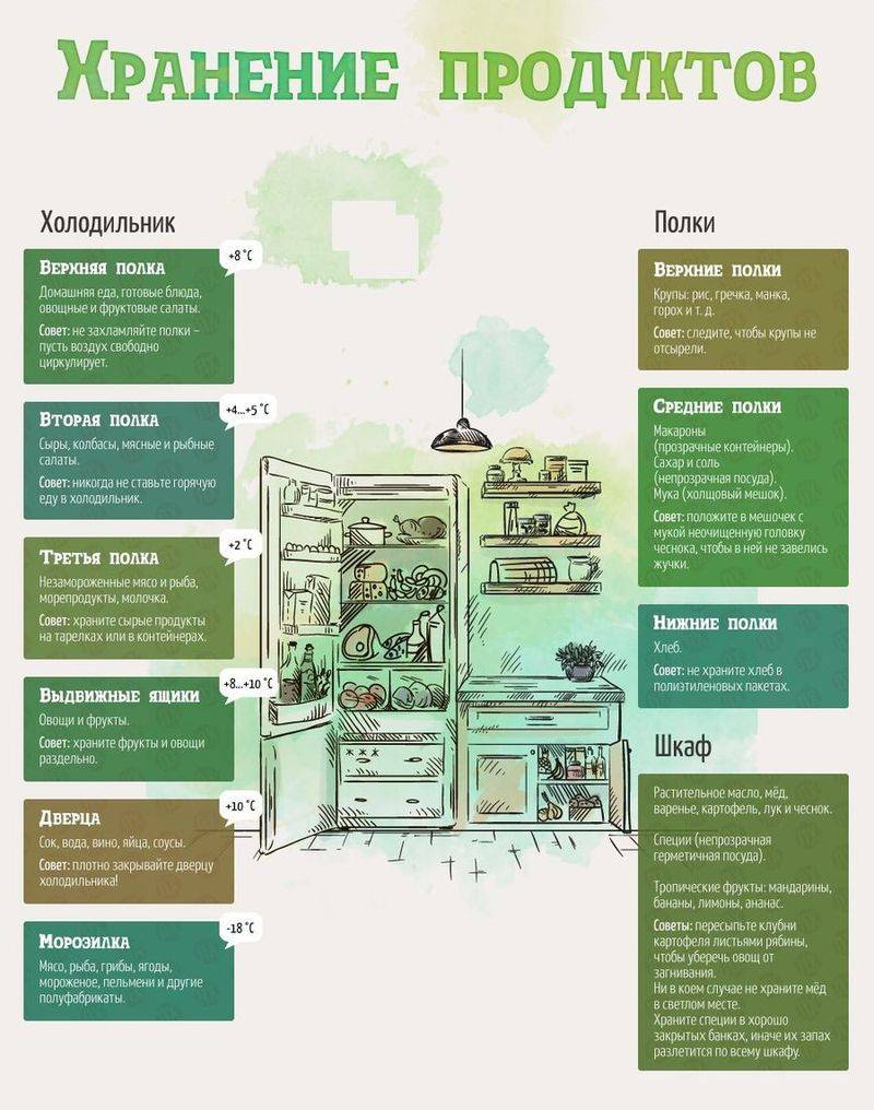 Как правильно хранить продукты в холодильнике: тонкости, секреты свежести