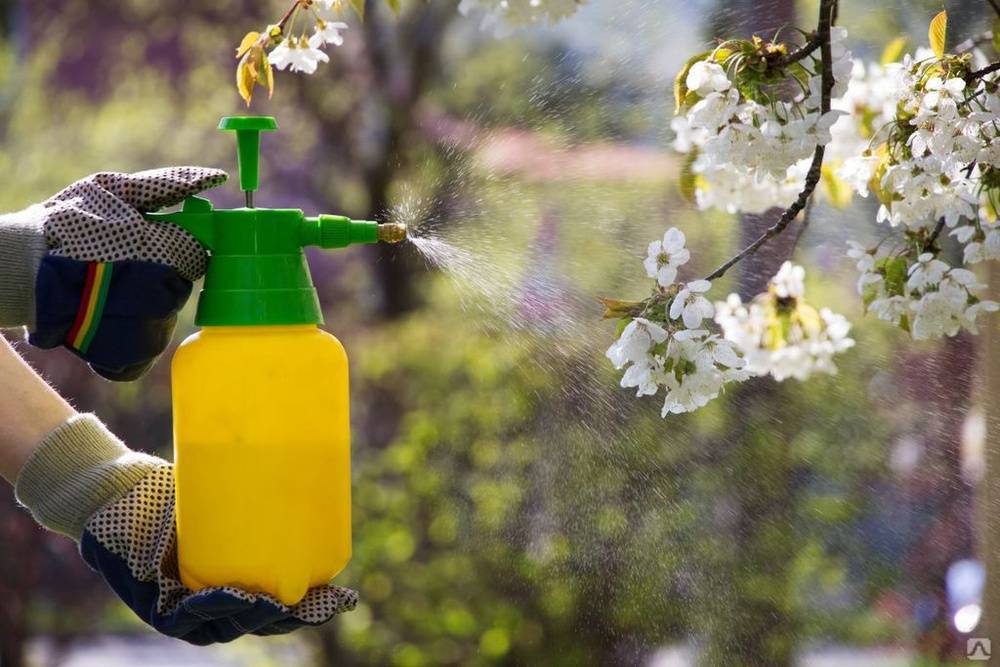 Садовый опрыскиватель ручной — лучшее решение в борьбе с вредителями и сорняками