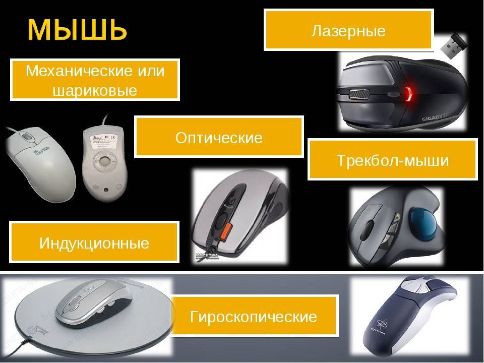 Как выбрать мышь компьютерную — критерии и характеристики