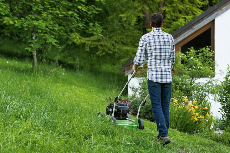 Как выбрать газонокосилку для дачи и работы в саду
