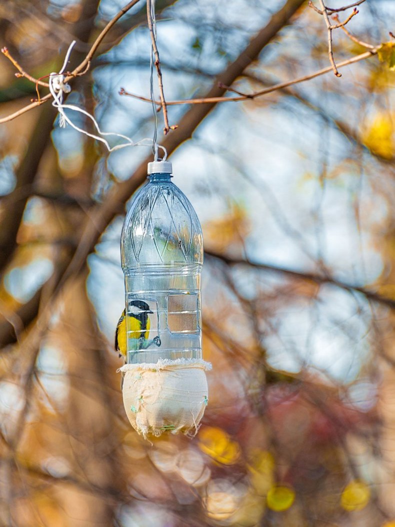 Кормушки для птиц из пластиковых бутылок 🔥 виды, инструкция по созданию