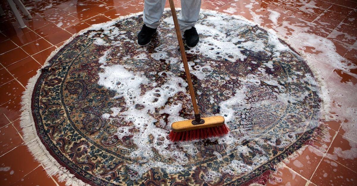 Моющий пылесос для ковров: выбор, плюсы и минусы