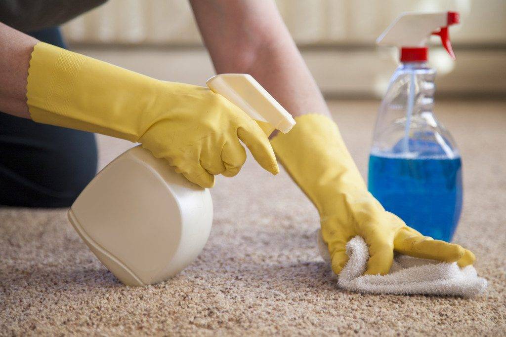 Способы и средства, как и чем почистить палас в домашних условиях быстро и эффективно