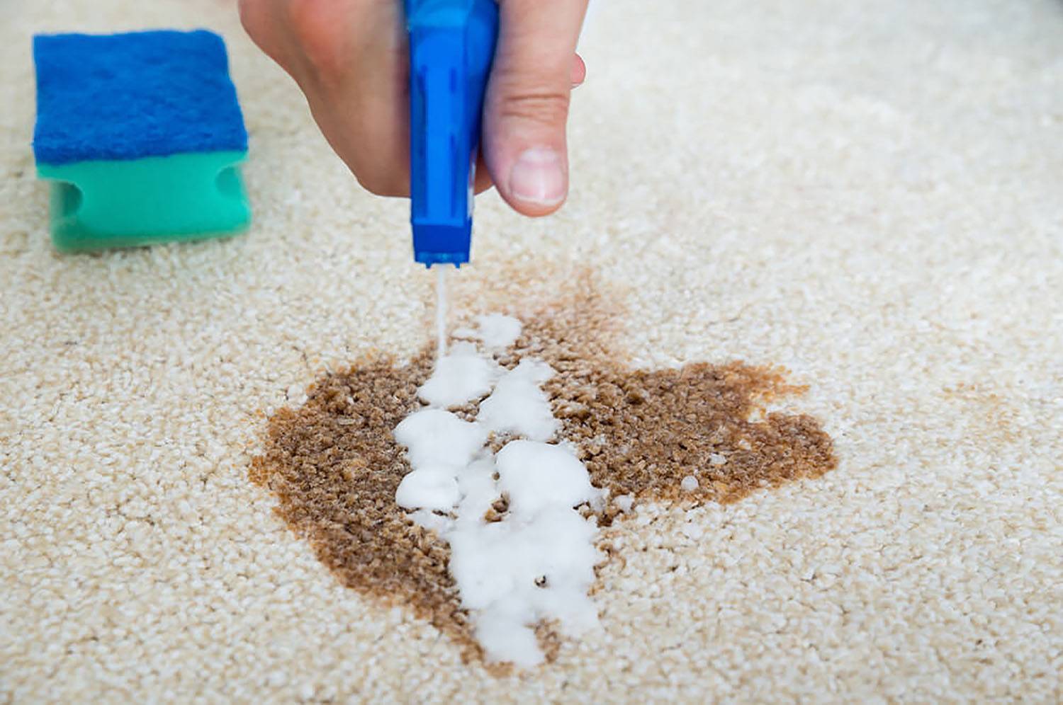 Как почистить белый ковер в домашних условиях: правила применения народных рецептов и бытовой химии для чистки светлых ковровых изделий