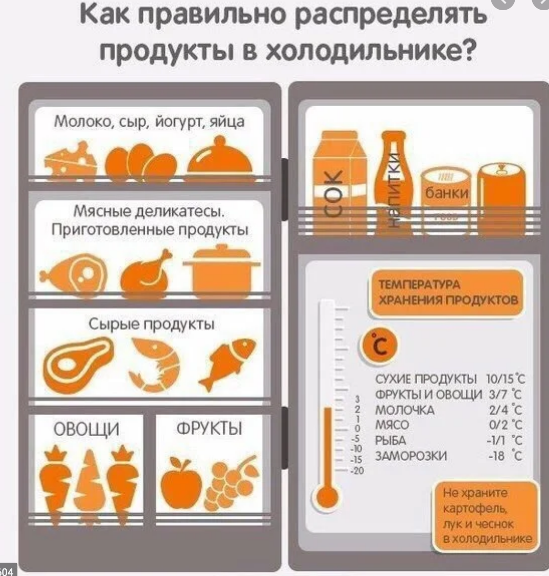 Порядок в холодильнике за 7 шагов - правильная организация хранения продуктов