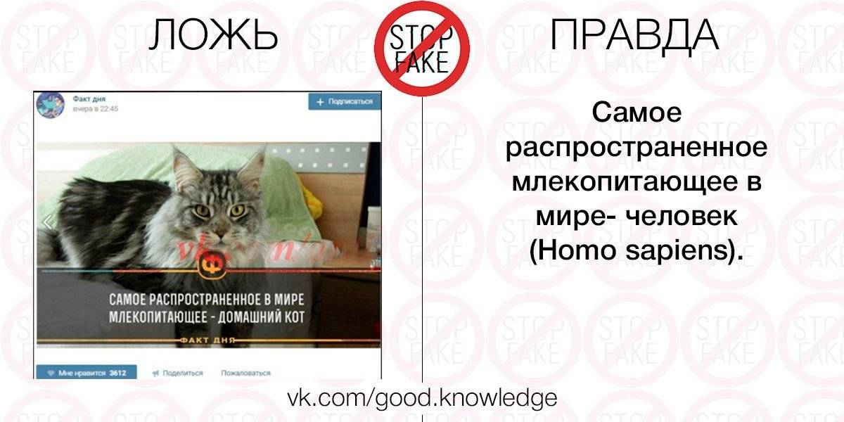 Правда факта. Факты правда ложь. Правда или ложь презентация. Факты и правда. Факты правда или ложь о человеке.