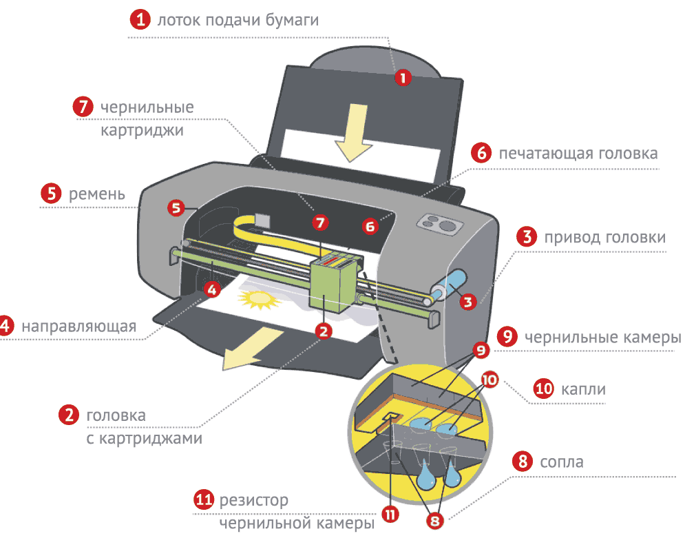 Принцип работы струйного принтера схема. Из чего состоит печатающая головка струйного принтера. Схема печатающей головки струйного принтера. Схема из чего состоит принтер Эпсон.
