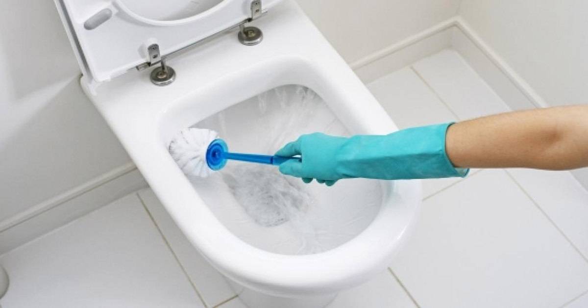 Как отмыть ершик для унитаза: выбор средства и способы чистки