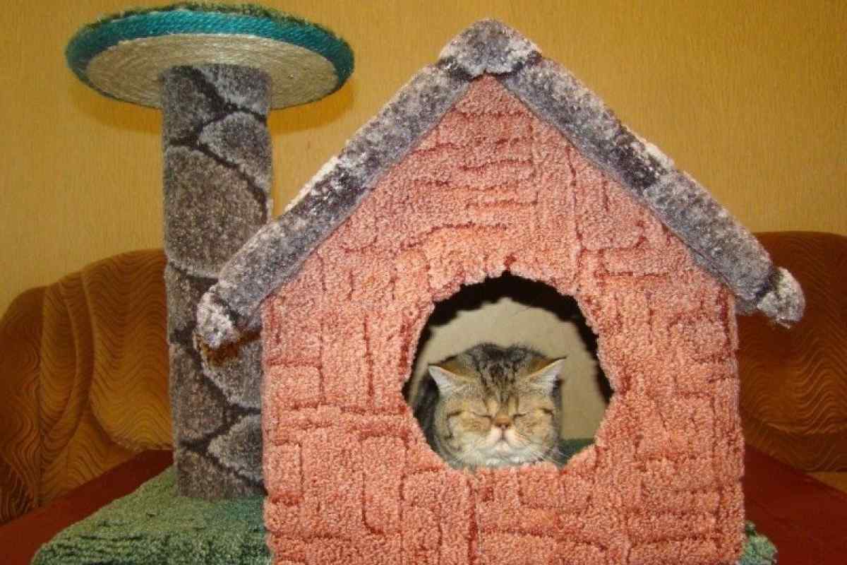 Каким ковролином обтянуть кошкин дом