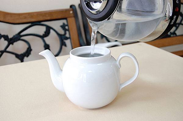 Новый чайник перед первым использованием — как помыть внутри электрический, из нержавейки, эмалированный, заварочный