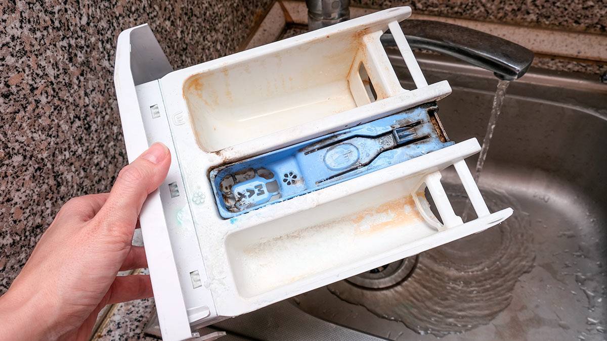 Как очистить лоток для порошка в стиральной машине