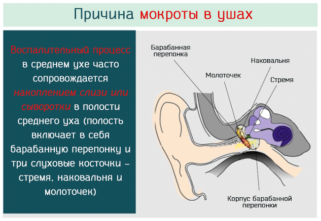 Повреждение среднего уха. Что делать если болит правое ухо