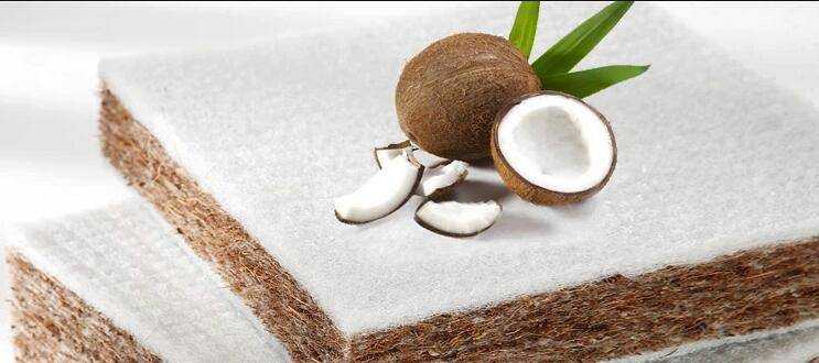 Кокосовая койра в матрасе: польза и вред волокна кокоса как наполнителя