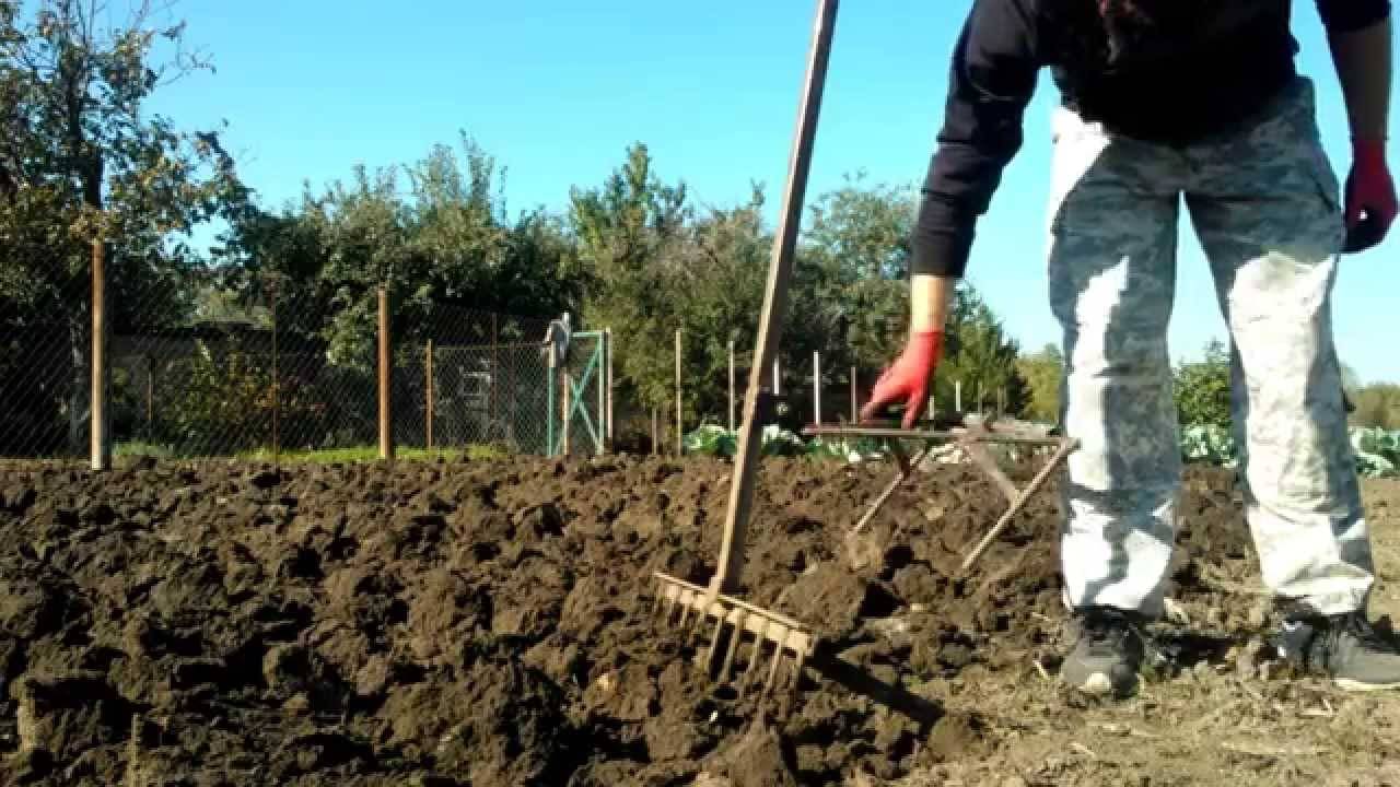 Как правильно копать лопатой землю. как правильно копать в огороде: советы бывалых