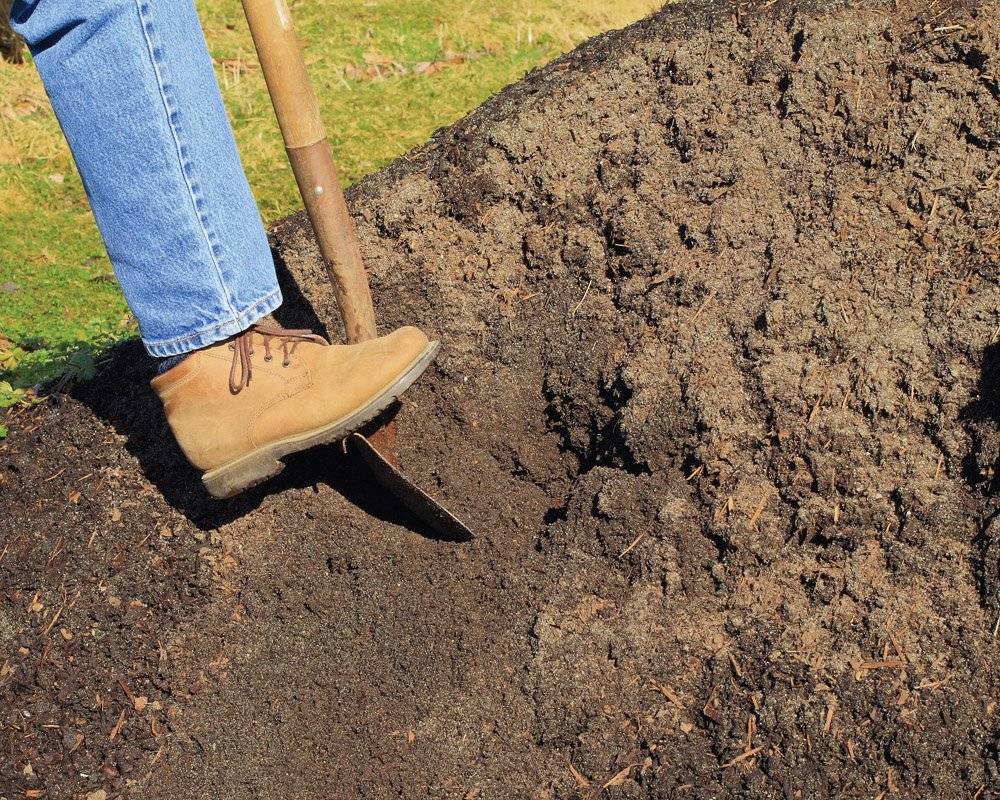 Копать или не копать: нужна ли перекопка земли