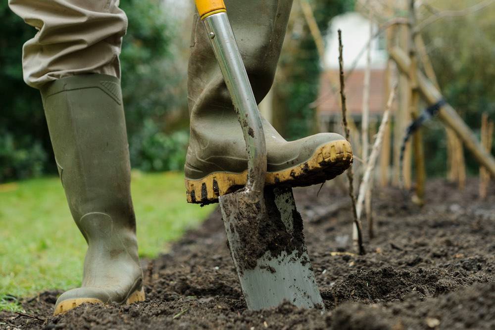 Как правильно копать в огороде: грядки, картошку, хрен, лопатой