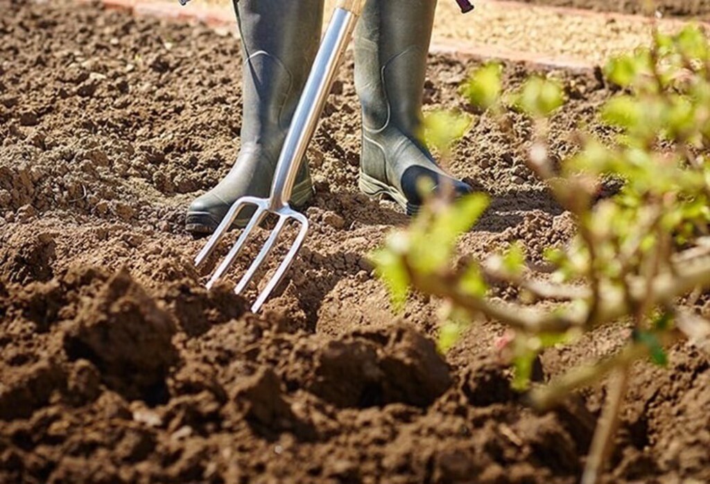 Нужно ли перекапывать землю перед посадкой осенью или весной: необходимость или привычка? советы начинающему огороднику | (фото & видео)+отзывы