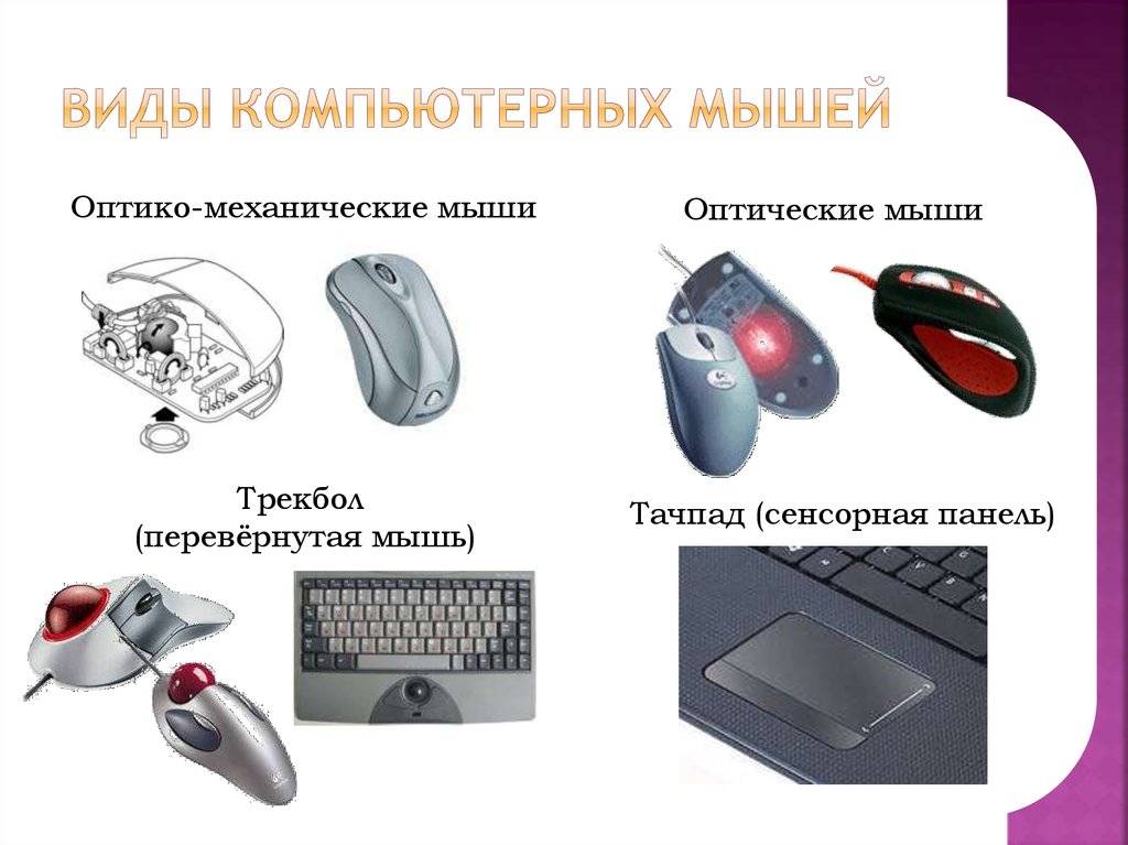 Классификация типов компьютерных мышек