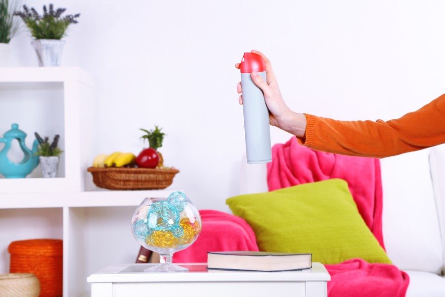 Как избавиться от запаха: причины появления вони в доме, как быстро удалить затхлость в квартире