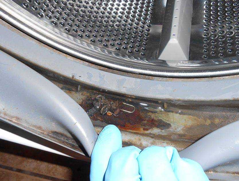 Как избавиться от плесени в стиральной машине? чем очистить плесень?